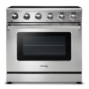 36 in. 6.0 cu. ft. Electric Range with Convection in Stainless Steel
