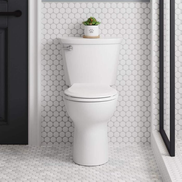 Cadet 10 in. Antimicrobial 2-Piece 1.28 GPF Single Flush Chair Height Round Toilet with Slow Close Seat in White - Image 2
